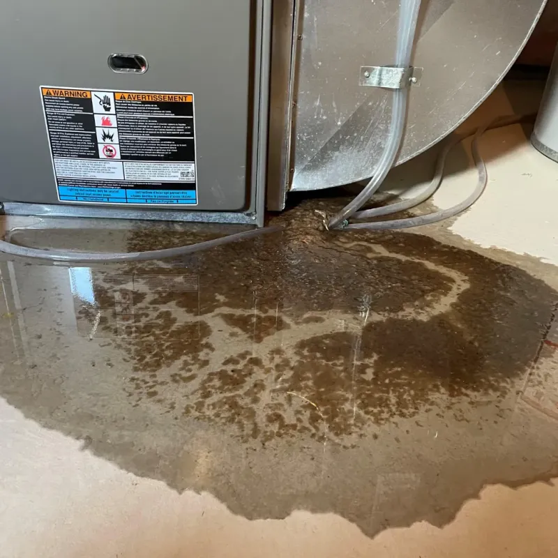 Appliance Leak Cleanup in Merrill, WI